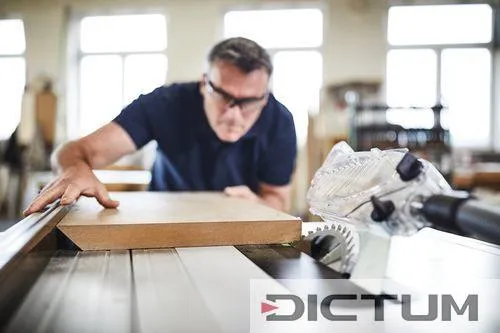 Festool Scie circulaire sur table TKS 80 EBS