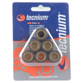 Jeu de galets TECNIUM 23x18mm 22gr - 6 pièces - piecemotoquad